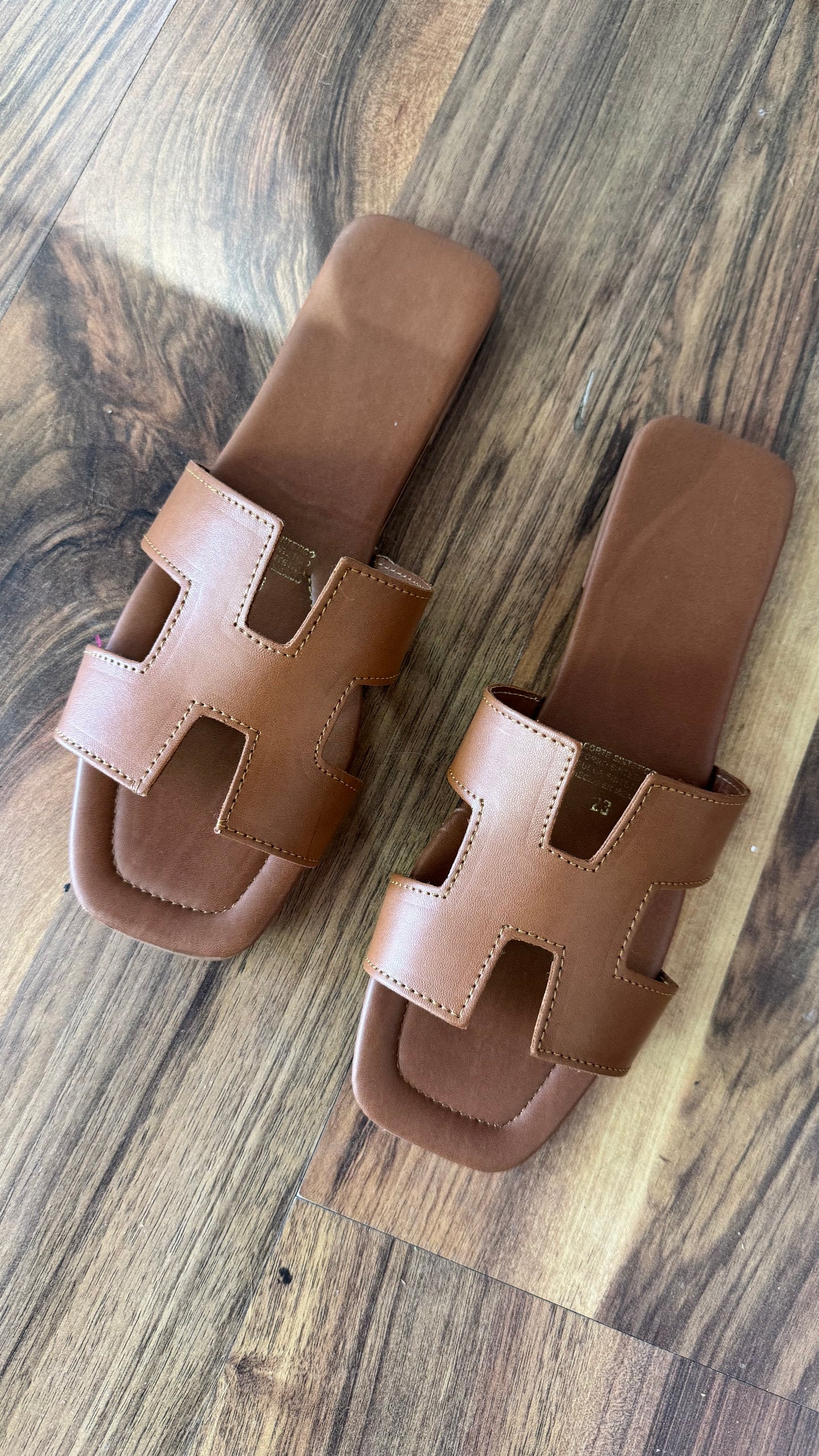 Helena Camel